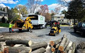 Best Lawn Maintenance Plans  in Susanville, CA